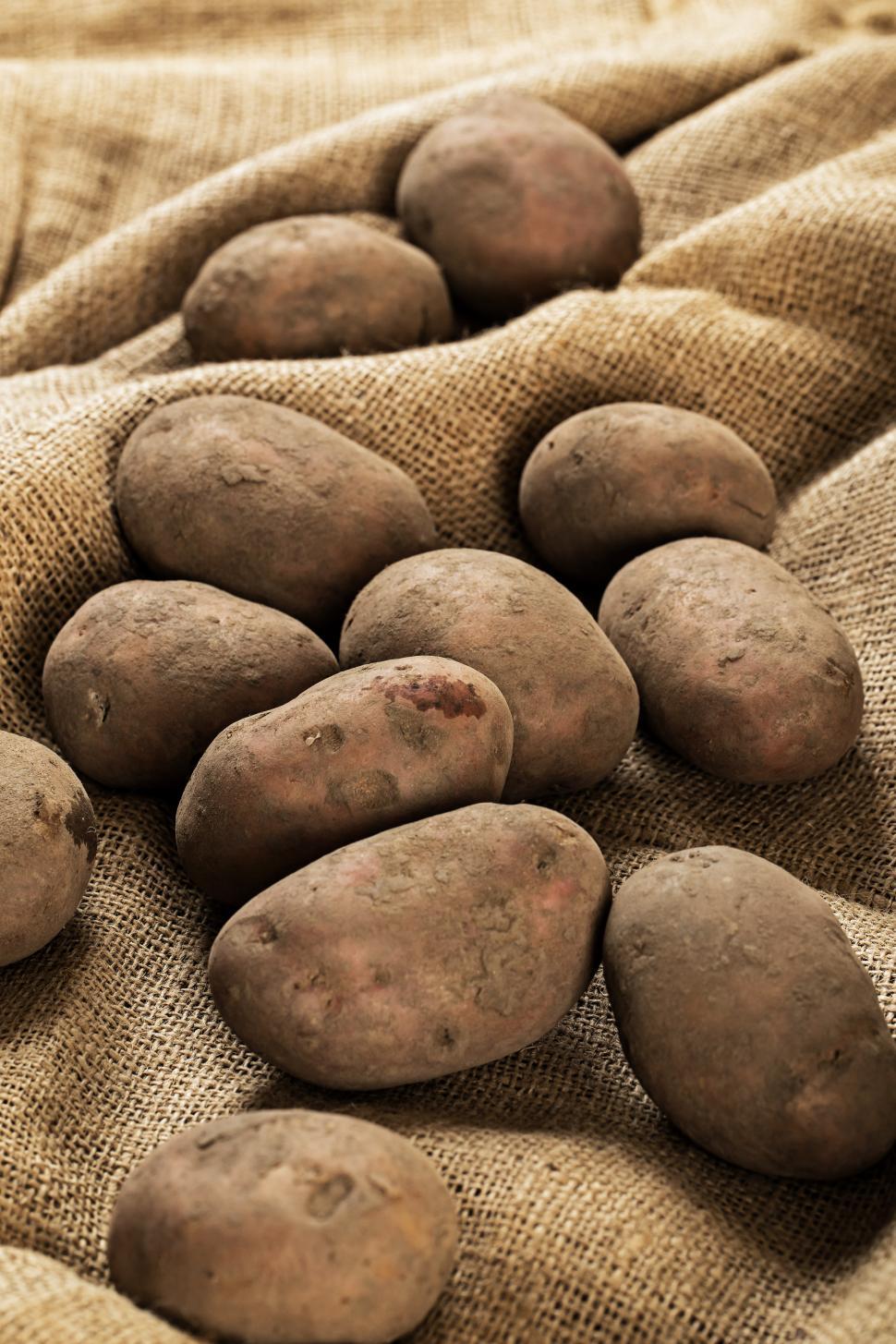 Free Image of Whole Russet potatoes  