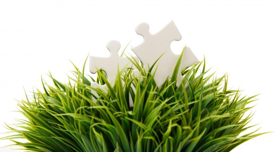 Free Image of White puzzle pieces in a tuft of green grass 