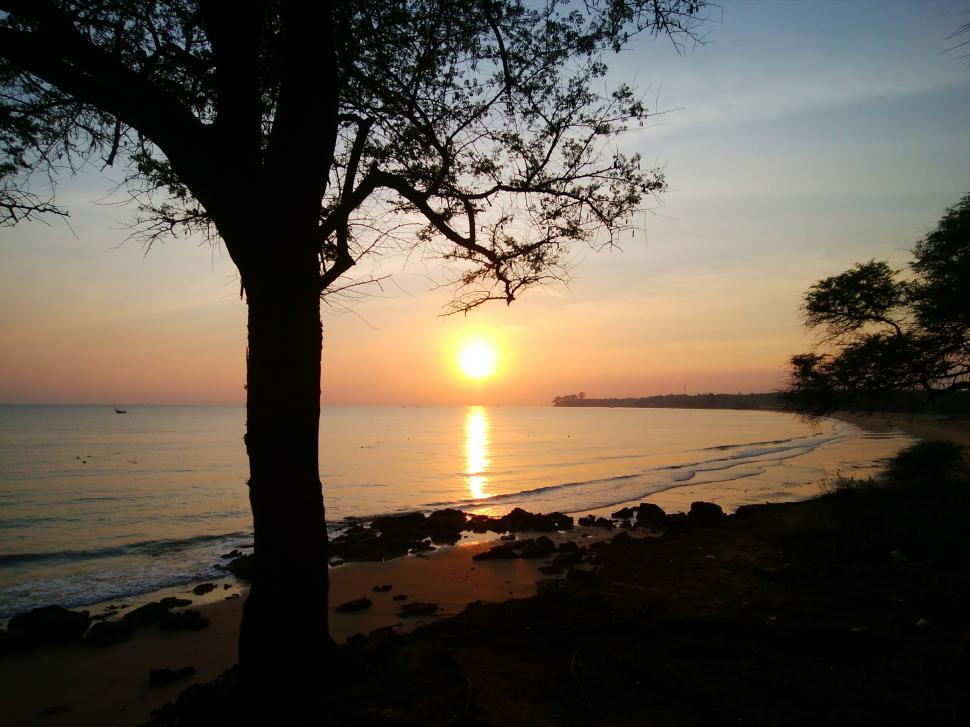 Free Image of Reflection of sunrise on the sea water and silhouette of the tree  