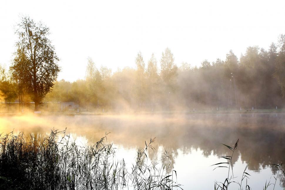 Free Image of Misty background of nature river and sun 
