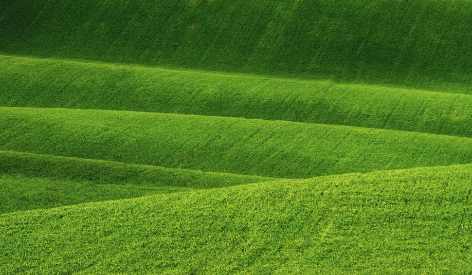 Free Image of  Rolling Hills - Grassy Hills - Agriculture 
