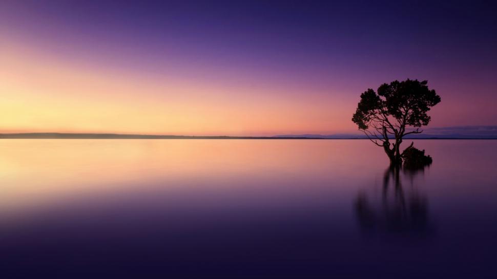 Free Image of Serene Landscape - Isolated Tree Reflected on Lake at Sunset 