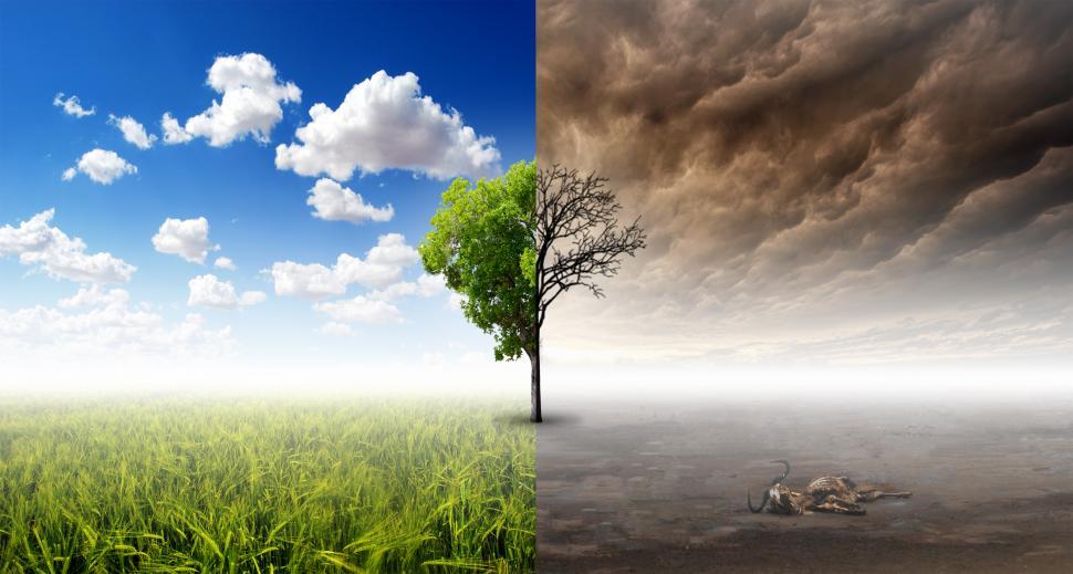 Free Image of Climate Crisis - Drought - Global Warming Concept 