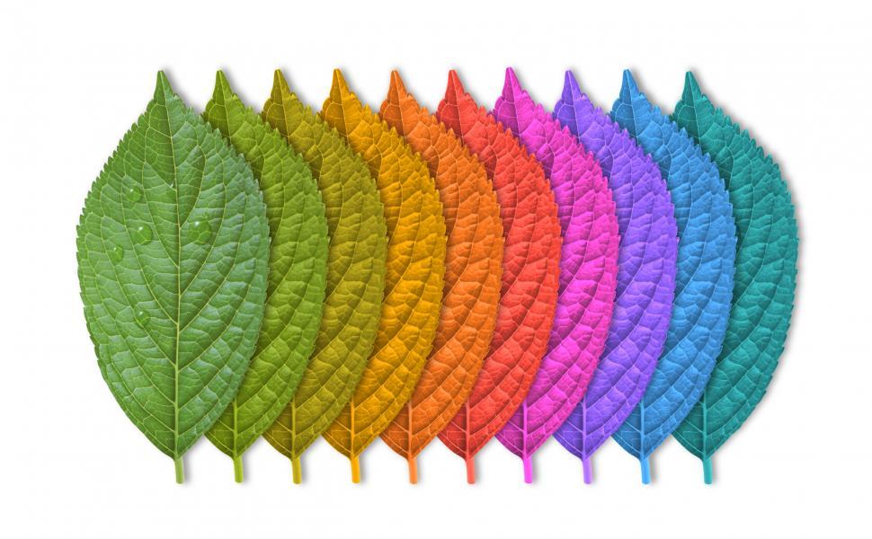 Free Image of Colorful Leaves - Gradient - Strong Colors 