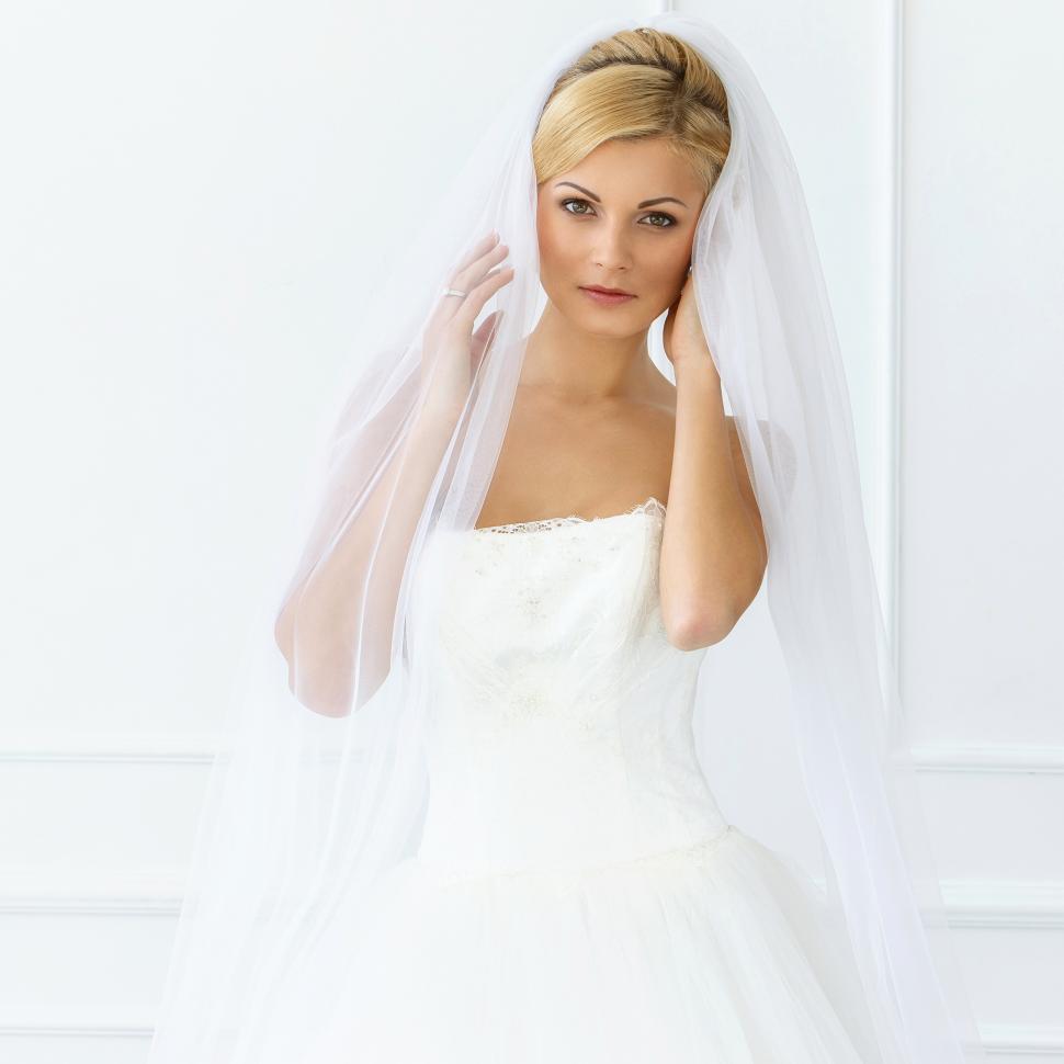 Free Image of Wedding. Beautiful bride with veil against white wall 