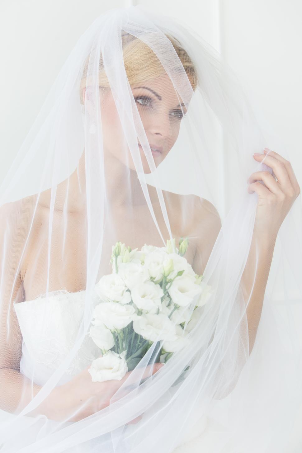 Free Image of Wedding. Beautiful bride fully covered by veil 