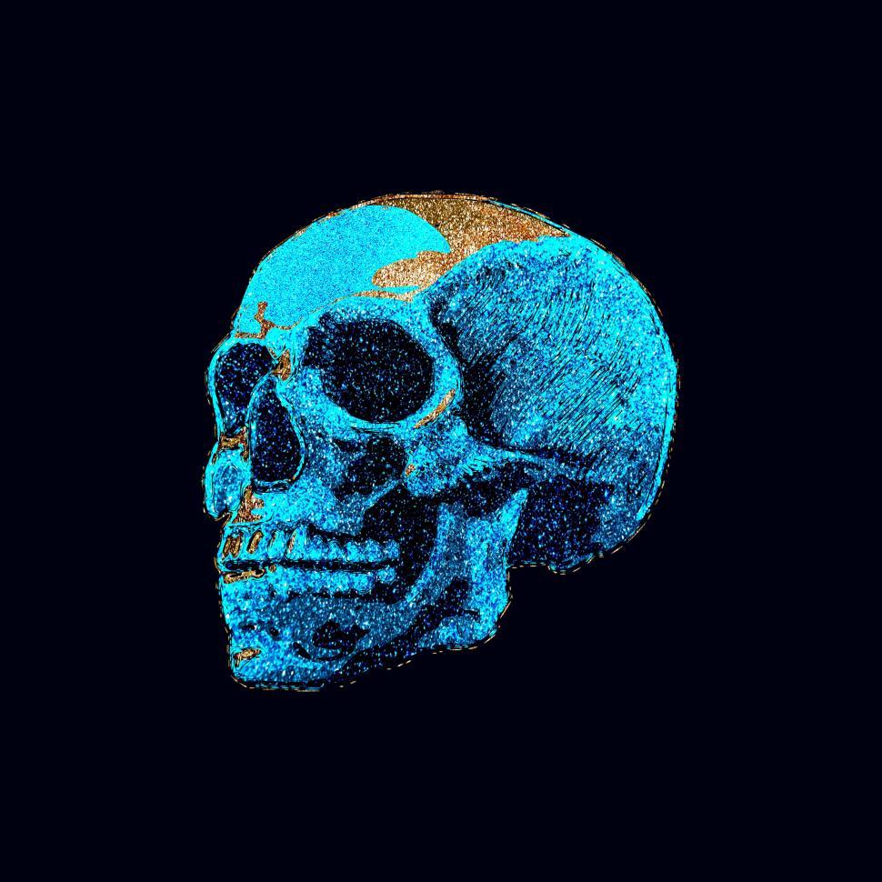 Free Image of Indigo Skull 