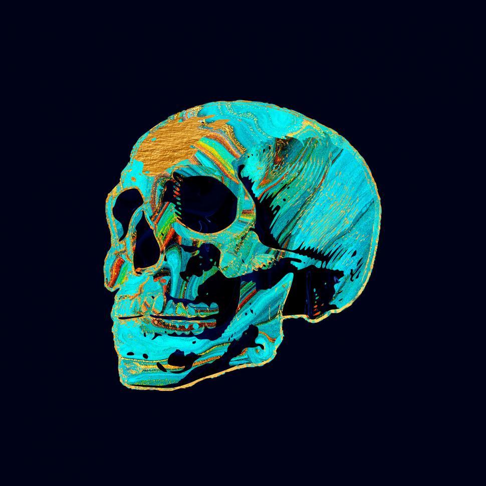 Free Image of Colored Skull 