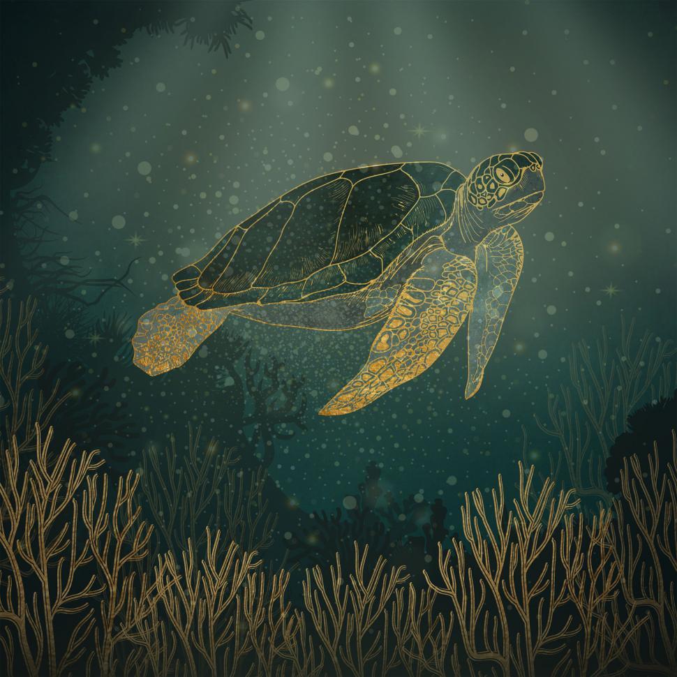 Free Image of Green Sea Turtle 