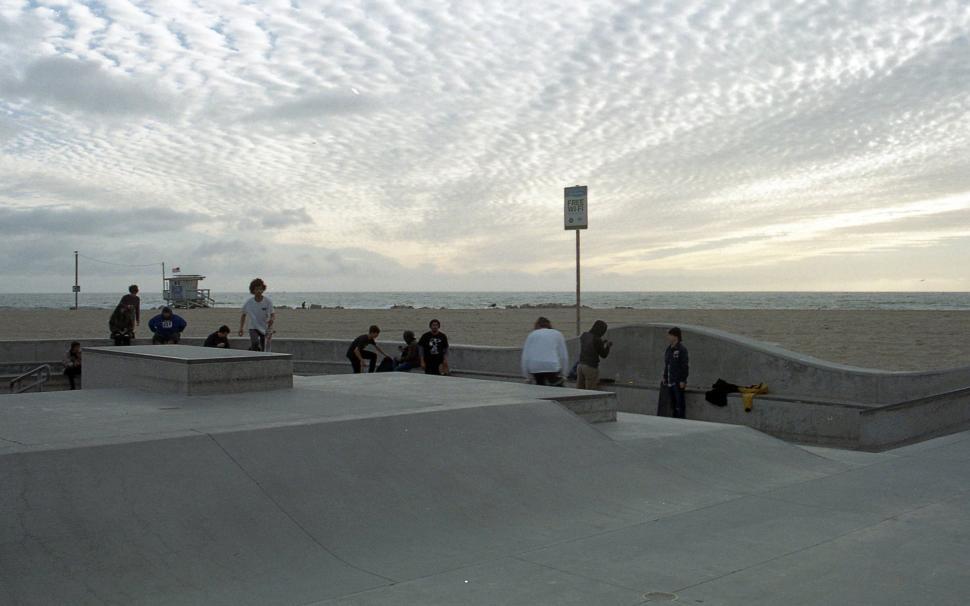 Free Image of Skaters at the skate park 