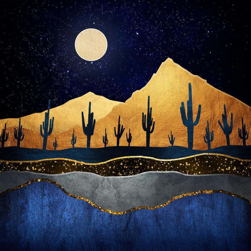 Free Image of Saguaro National Park - Starry Night Over the Desert 