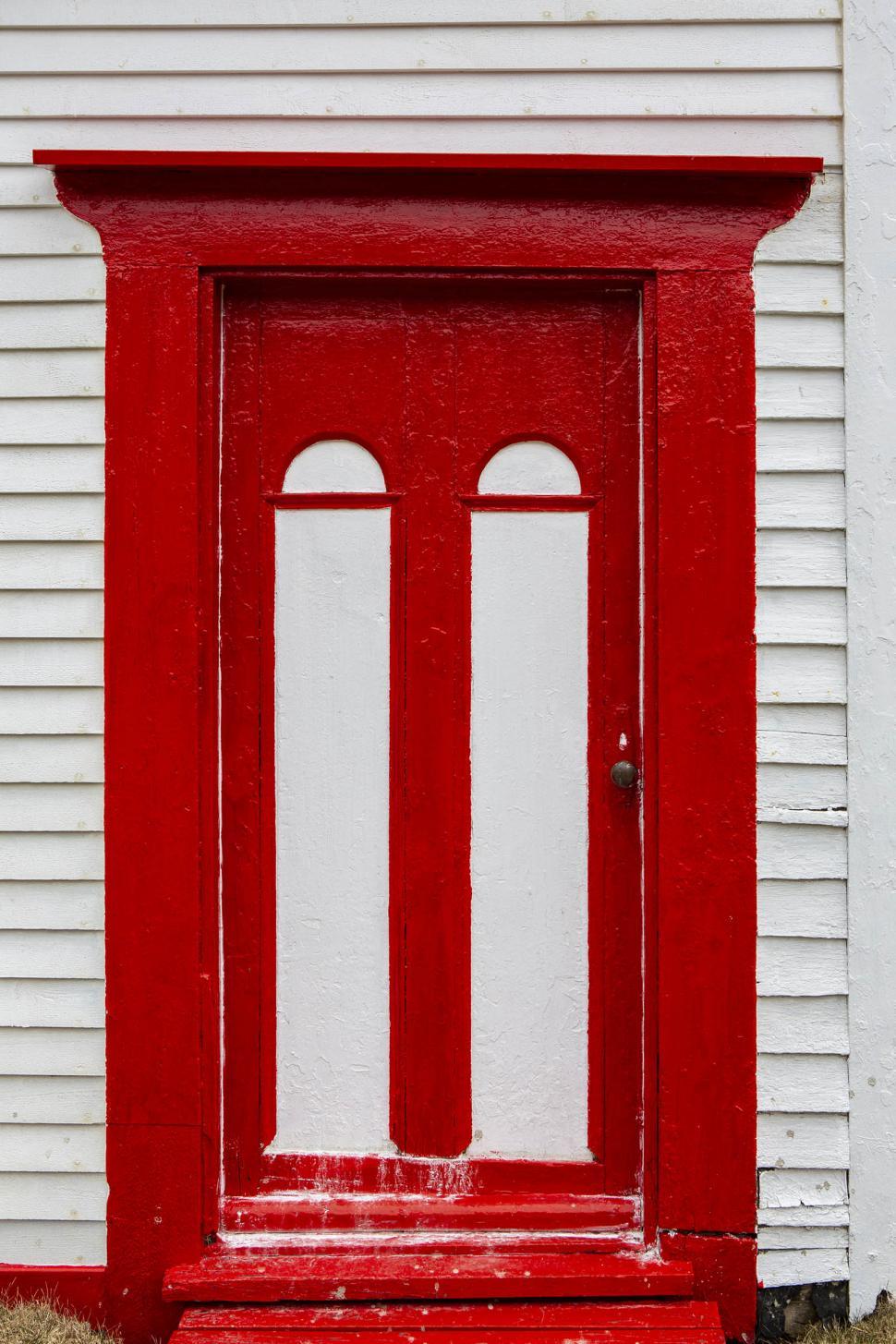 Free Image of Red and white dooe 