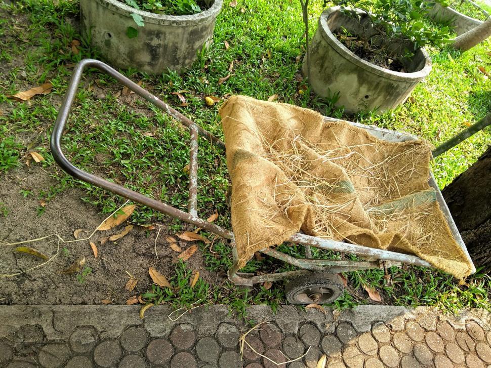 Download Free Stock Photo of Old wheelbarrow in a garden  