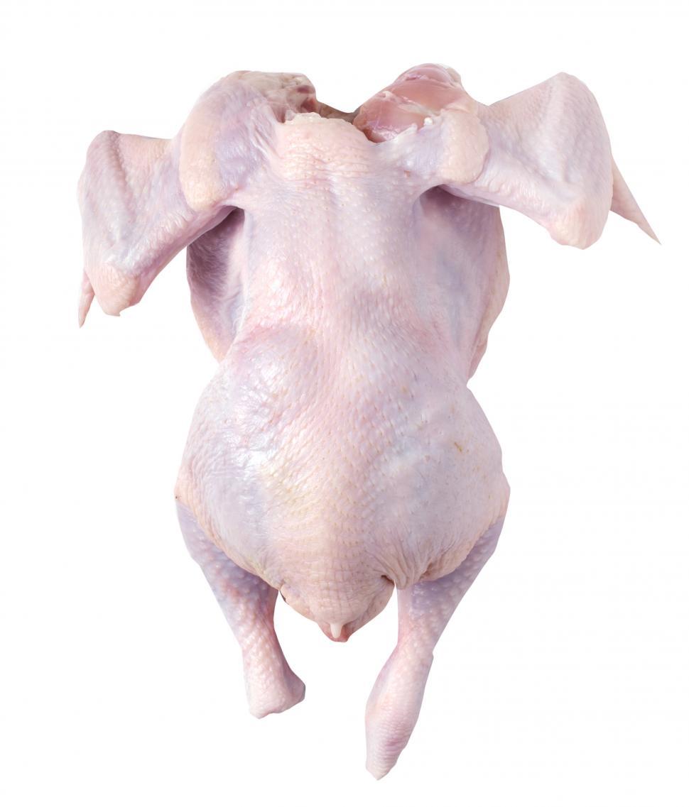 Free Image of Raw whole chicken 