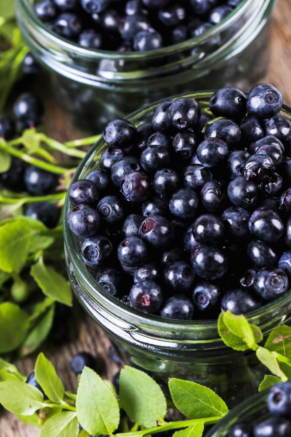 Free Image of Vivid fresh blueberries in a glass jar 