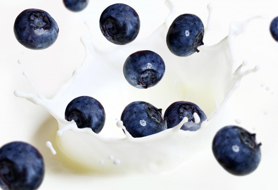 Download Free Stock Photo of Blueberries falling into milk splash 