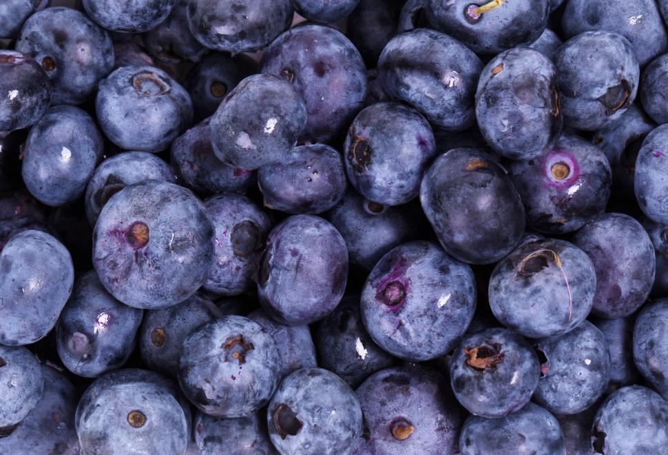 Free Image of Delicious blueberries fill frame - berry background 