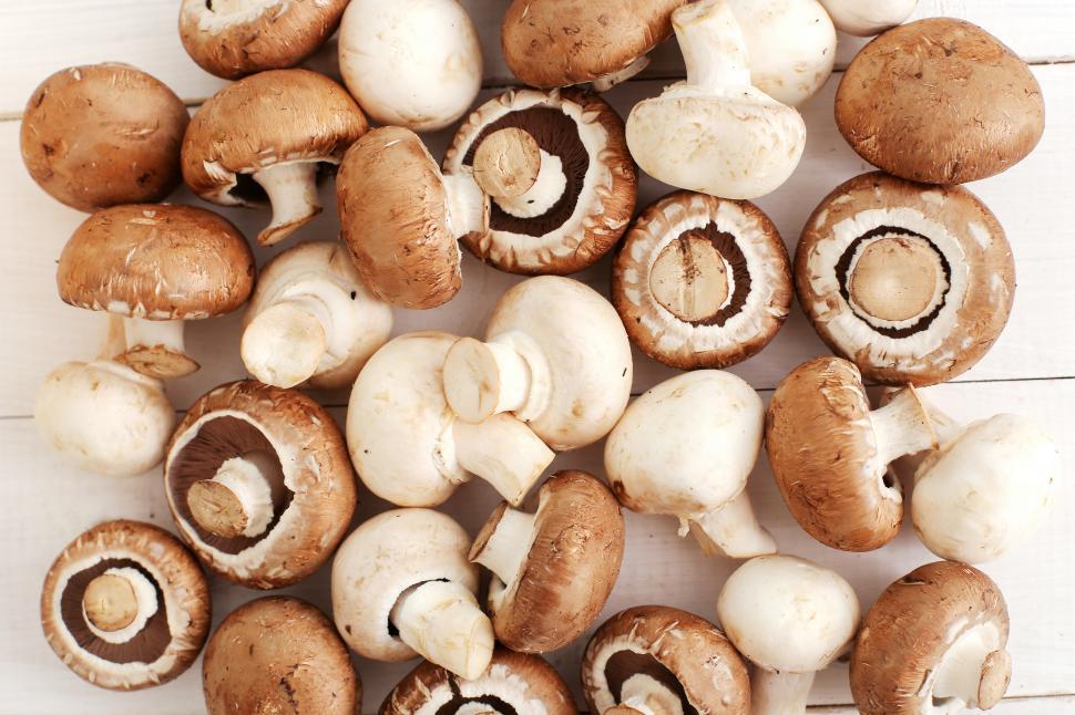 Free Image of Fresh Mushrooms Fill the Frame 