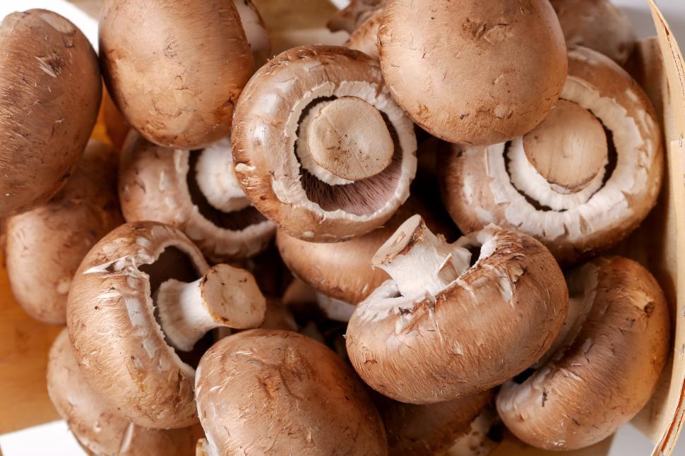 Free Image of Pile of Fresh Mushrooms 