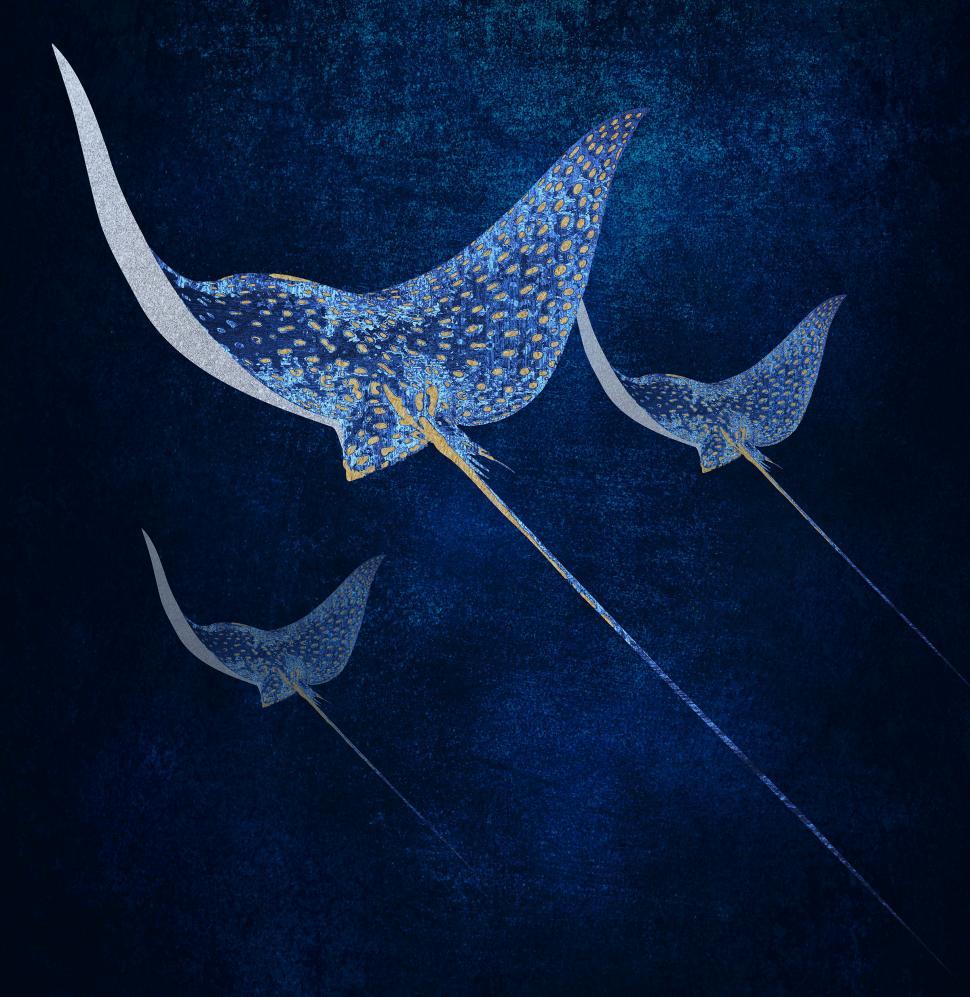 Free Image of Stingrays Swimming Together - Illustration 