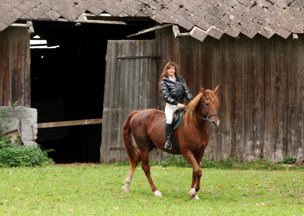 Free Image of Woman and her brown horse 