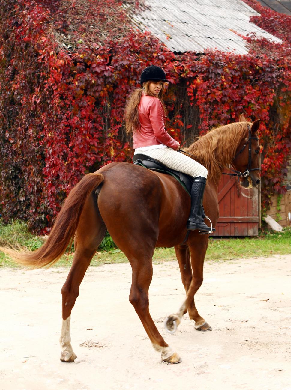 Free Image of Woman on a horse in full riding gear, looking over shoulder 