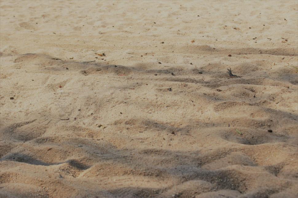 Free Image of Beach sand close-up detail  
