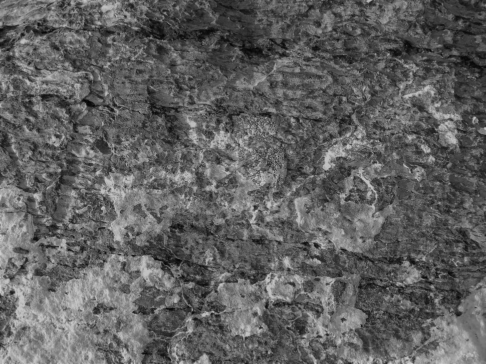 Free Image of Black and white texture - rock 