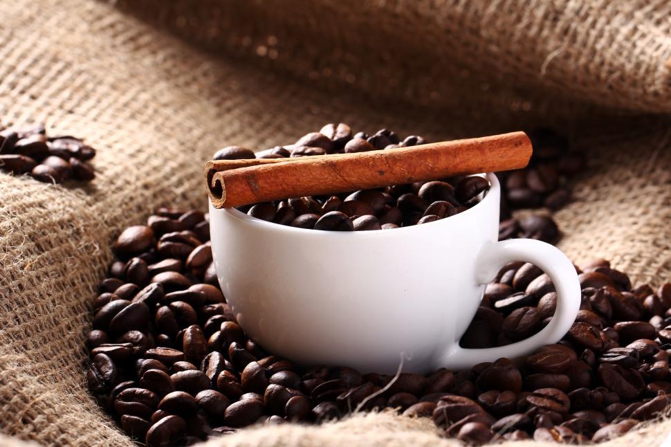 Download Free Stock Photo of Cup with coffee beans and cinnamon stick 