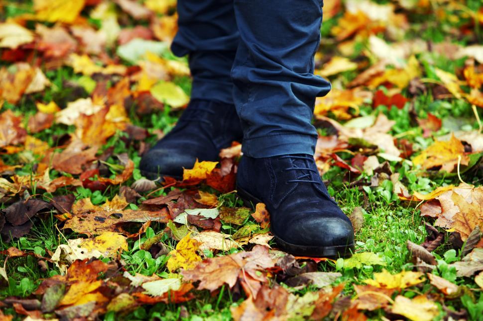 Free Image of Standing in leaf litter and park grass 