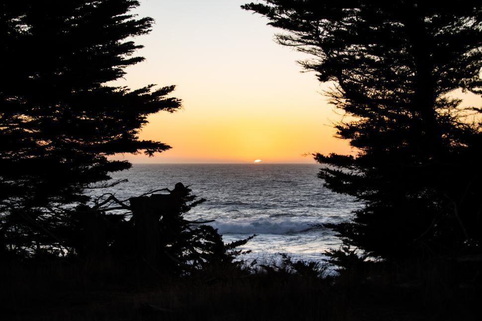 Free Image of Watching the setting sun thorugh a gap in the cypress trees 