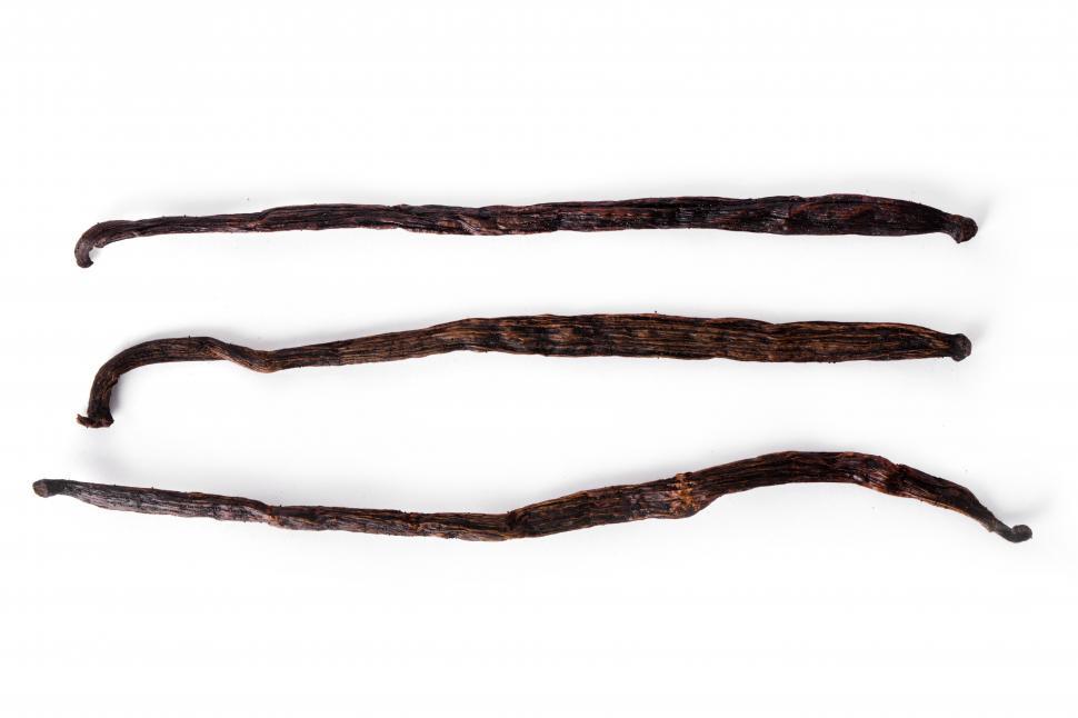 Free Image of Vanilla beans, three in a row 