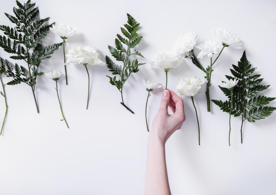 Free Image of Girl making a bouquet - flower arranging   