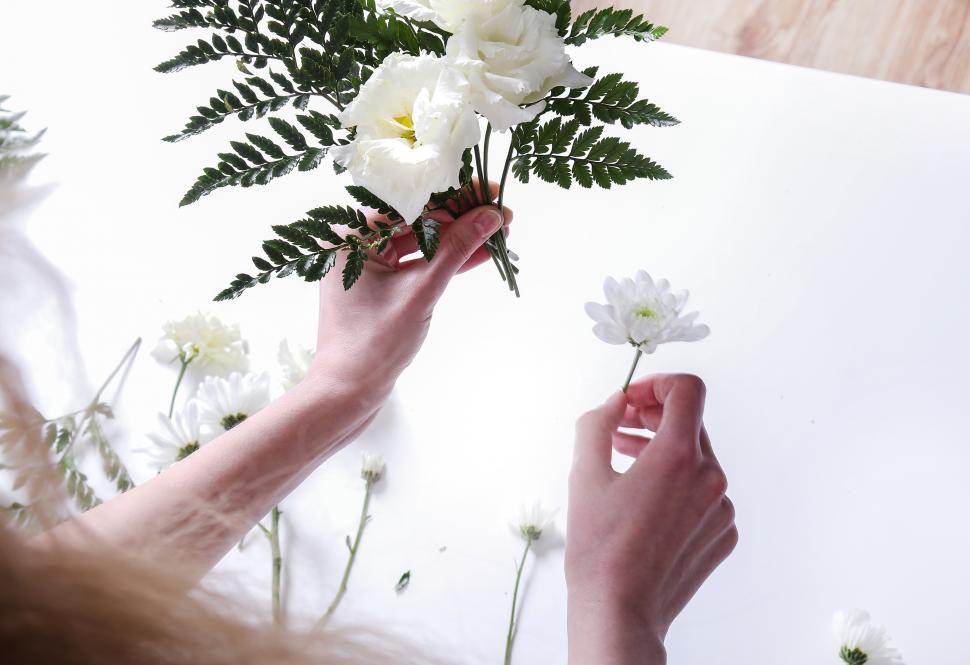Free Image of Arranging flowers - delicate bouquet  