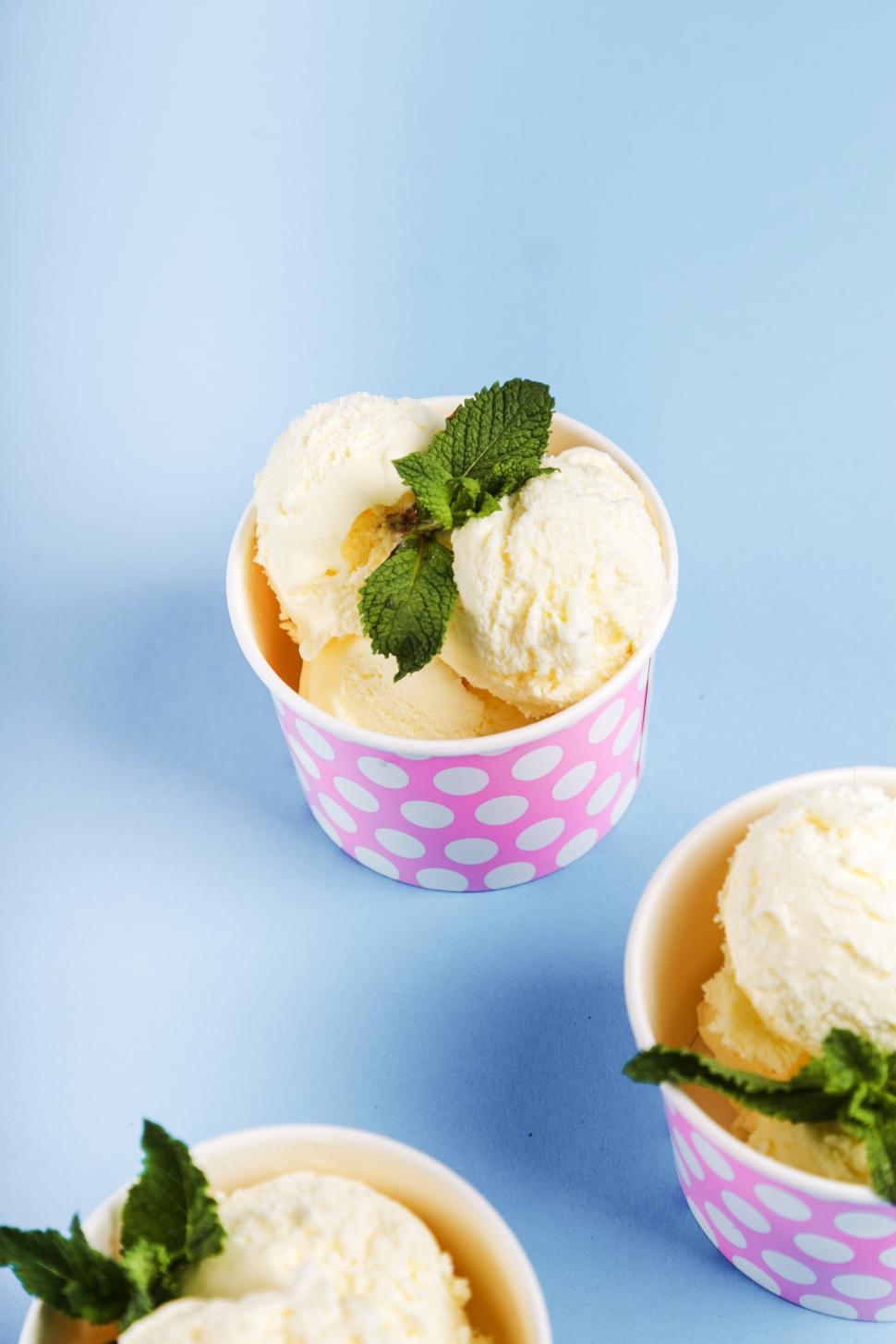 Free Image of Gourmet ice-cream with sprig of mint 