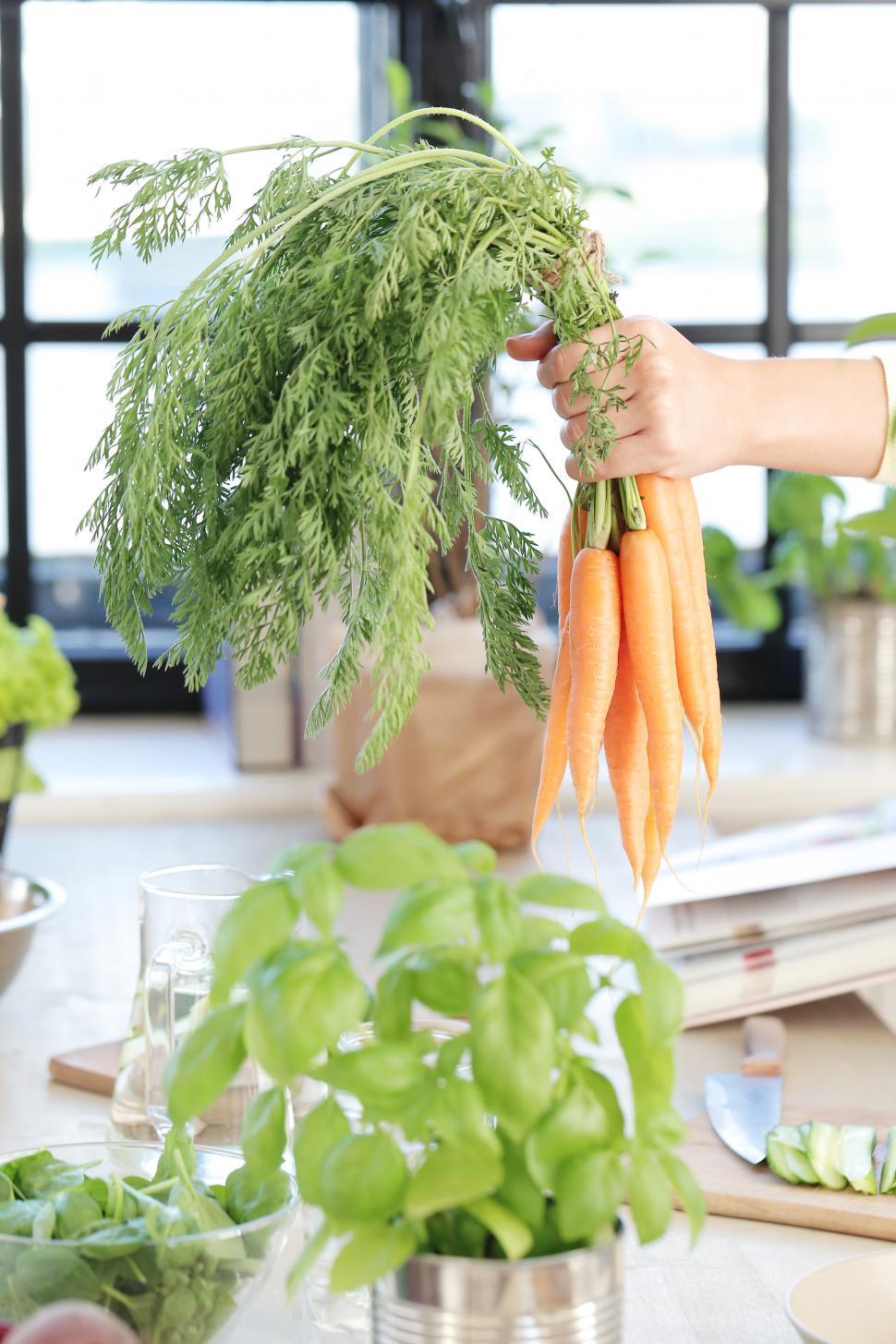 Free Image of Handfull of untrimmed carrots 