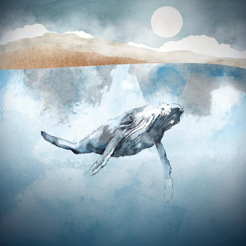 Free Image of Lone Humpback Whale - Abstract Illustration 