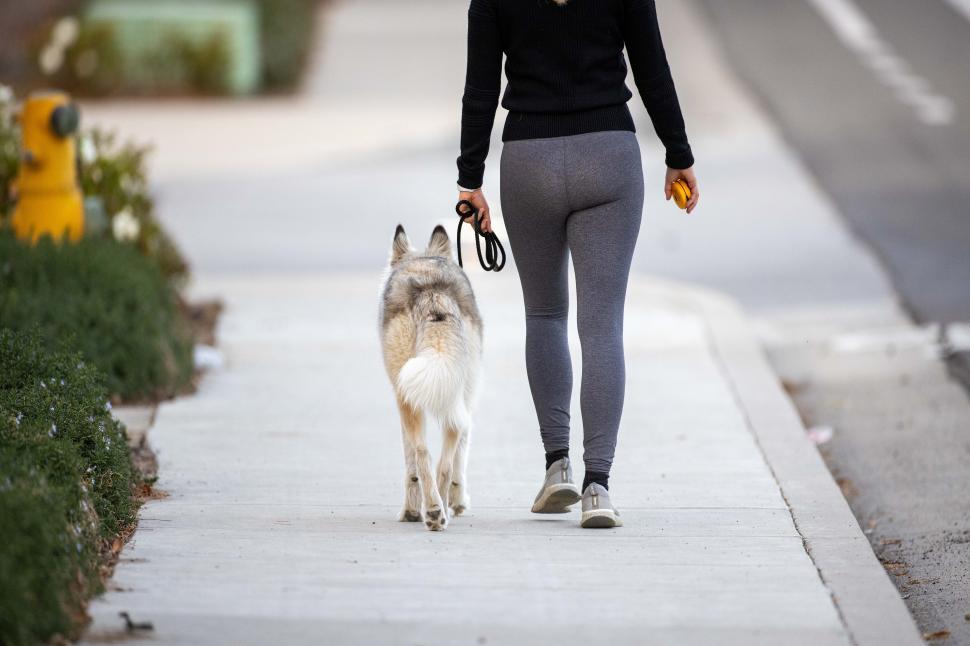 Download Free Stock Photo of Backside view of woman walking with dog 