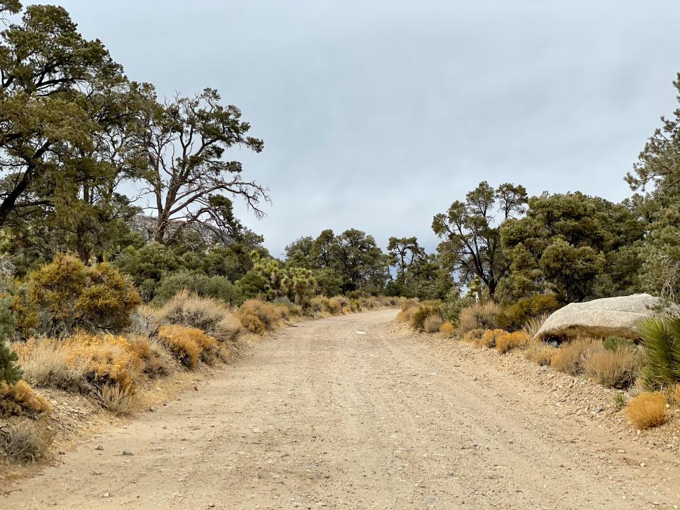 Free Image of Dirt road with dry grass 