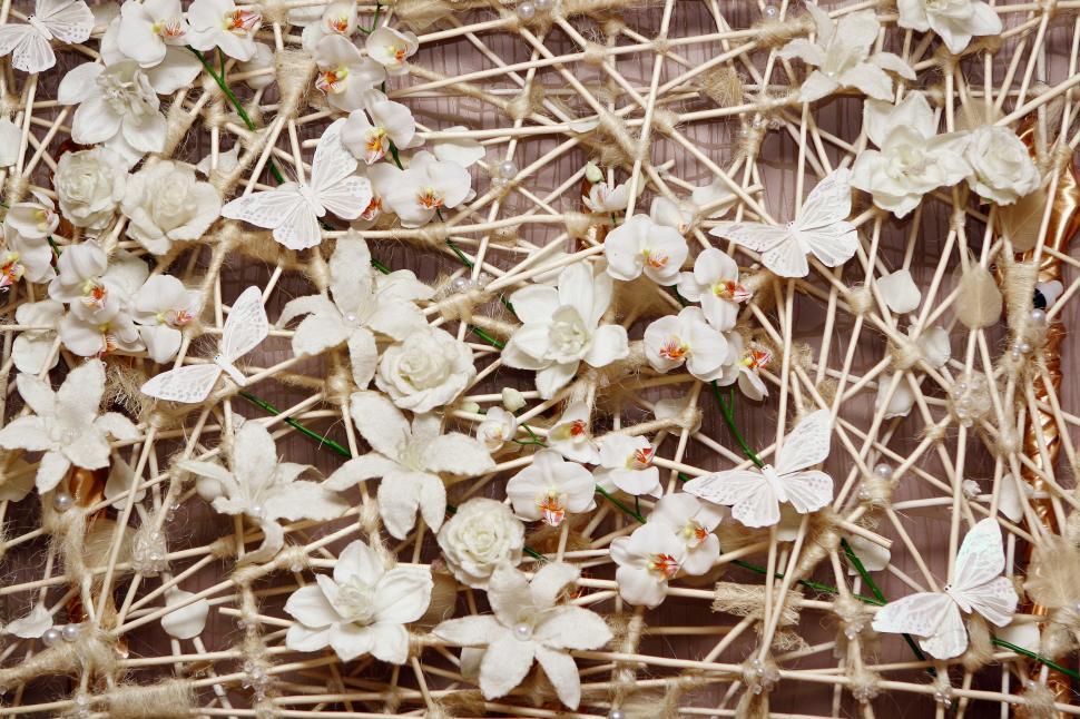 Free Image of Background of small white flowers with butterfly 