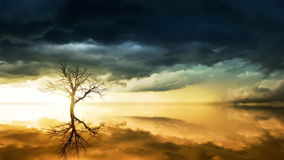 Free Image of Bare tree and river with dark sunset clouds 