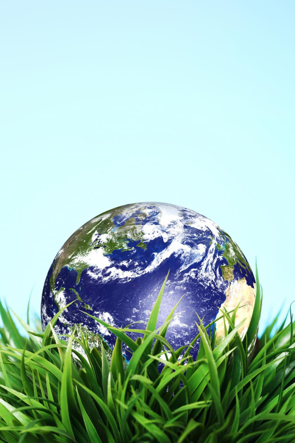 Free Image of Planet Earth sitting in in green grass 