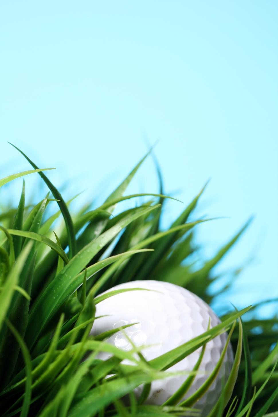 Free Image of Golf ball deep in the grass 