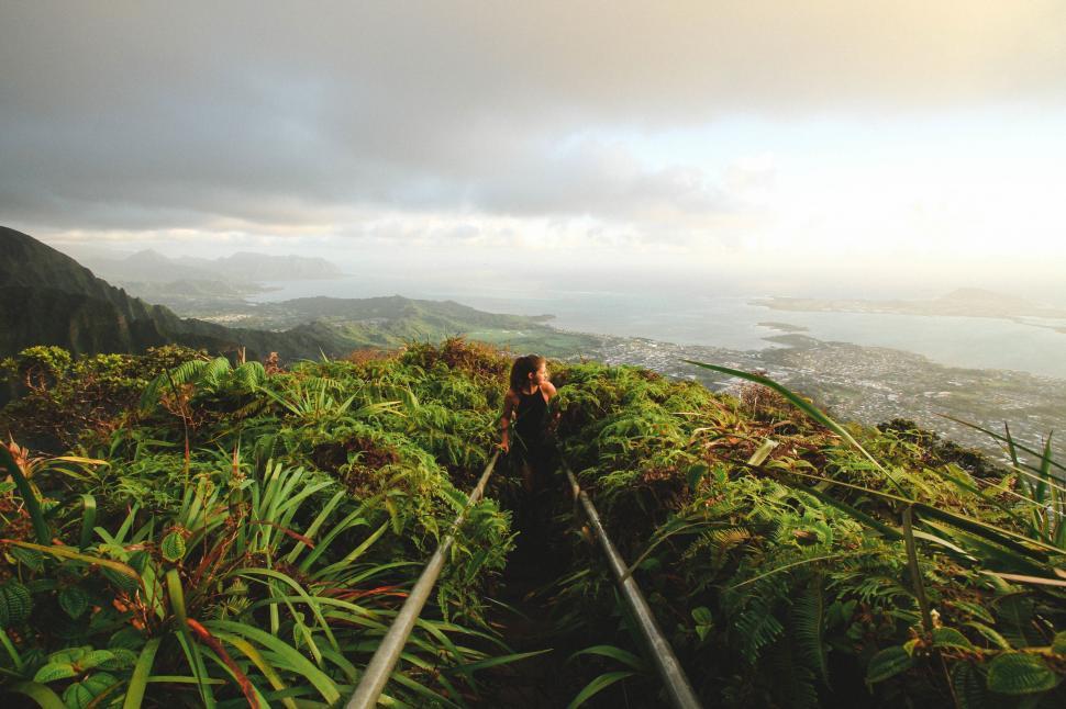 Free Image of Woman hiking on mountain with plants and city 