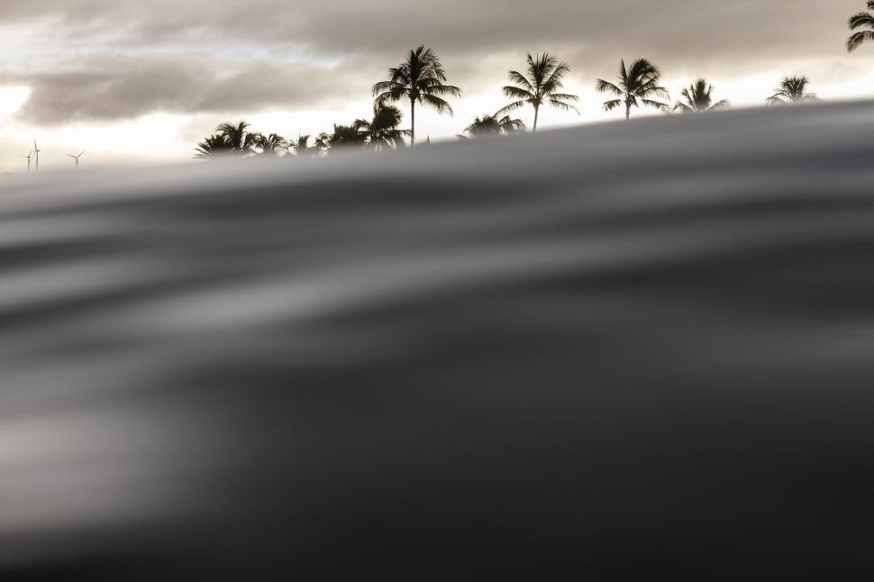 Free Image of Ocean waves and coconut trees 
