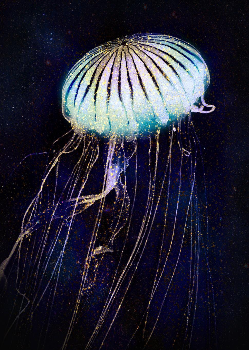 Free Image of Bright White Jellyfish 