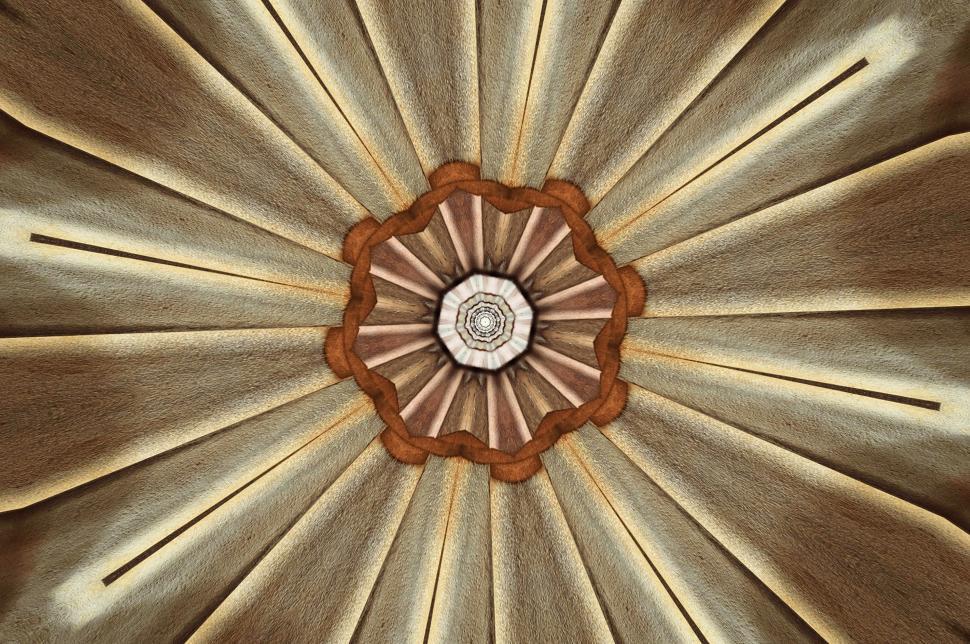 Free Image of Close Up View of Ceiling in Building 