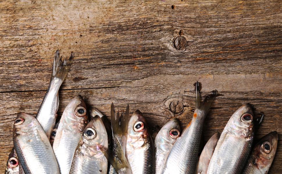 Free Image of Sardines on wooden table 