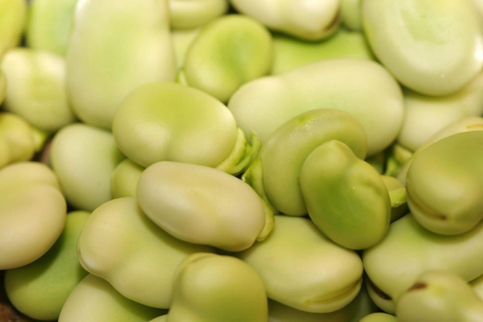 Free Image of Fava Beans 