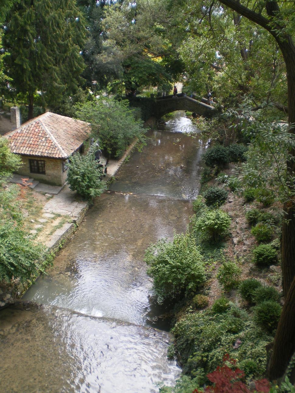 Free Image of Small garden with water ponds and lush vegetation 